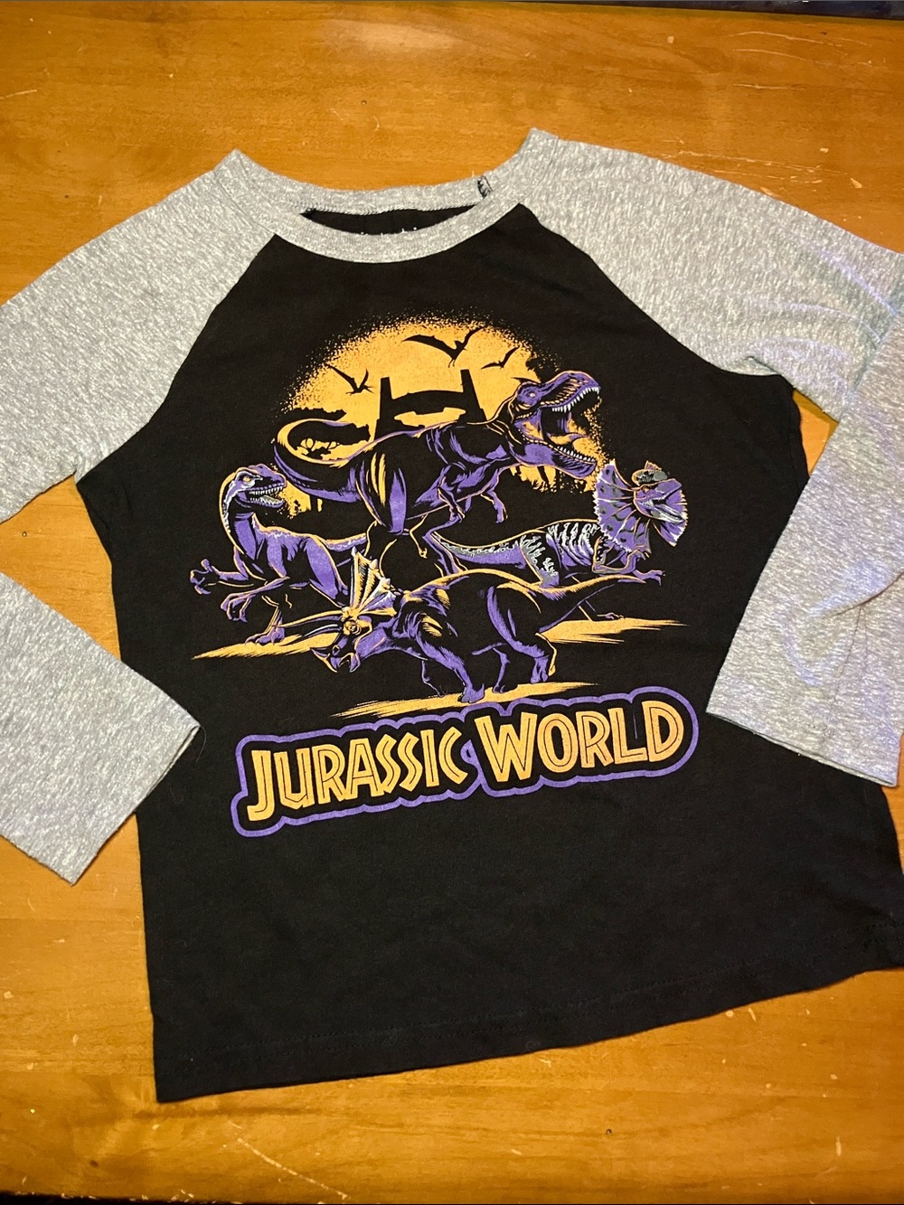 Kids' Black & Gray Raglan Dino Graphic Tee